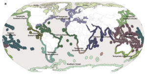 Biogeographic realms with ecoregion boundaries outlined. Spalding et al 2007.