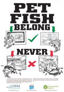 The 'Pet Fish Belong' campaign. A UK initiative from the Ornamental Aquatic Trade Association (OATA)