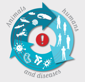 Animals, humans and diseases. OIE, 2015