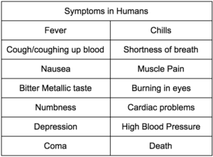 Palytoxin Symptoms in Humans