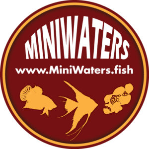 logowork5_miniwaters-fish_512_x_512